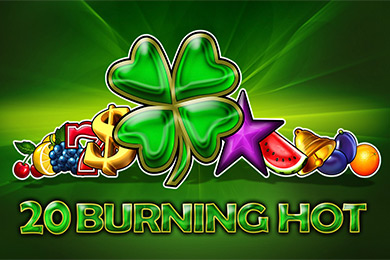 Играть в Egt Provide 20 Bh Магнет Казино